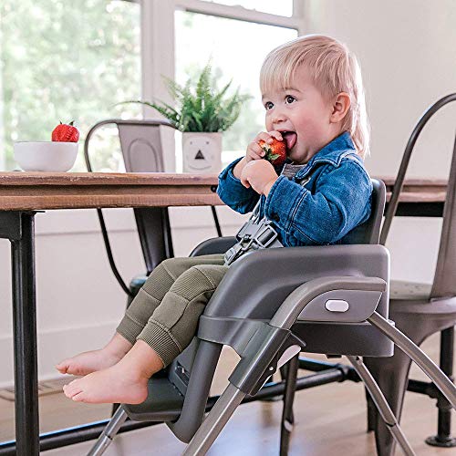 Ingenuity SmartServe 4 in 1 seggiolone con vassoio girevole   Connolly   Seggiolone, seggiolino per bambini e booster : Prima infanzia
