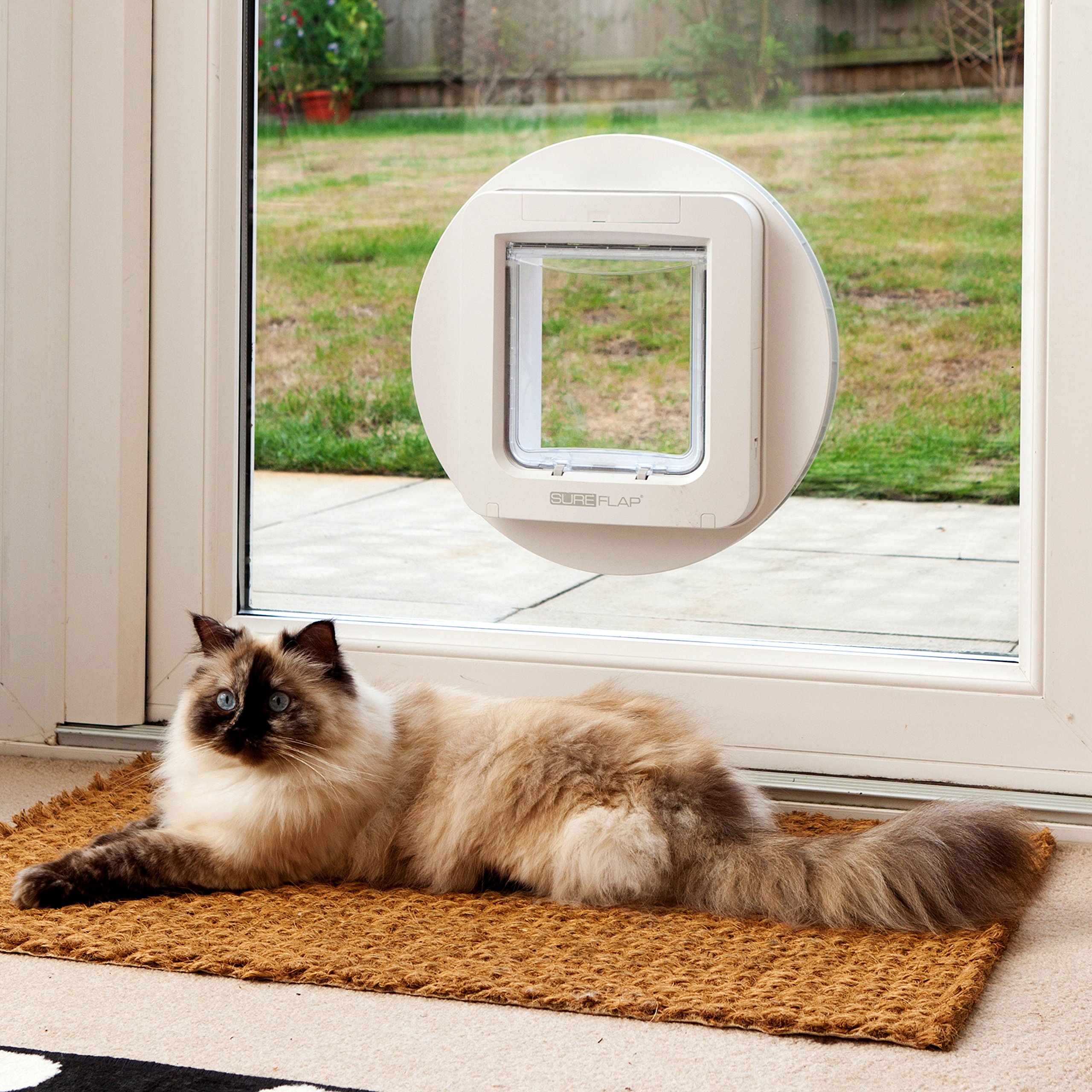 SureFlap Mikrochip Tierklappe Sperrmodus für Katzen kleine Hunde RFID Halsbänder Ein Knopf 4 C Batterien braun