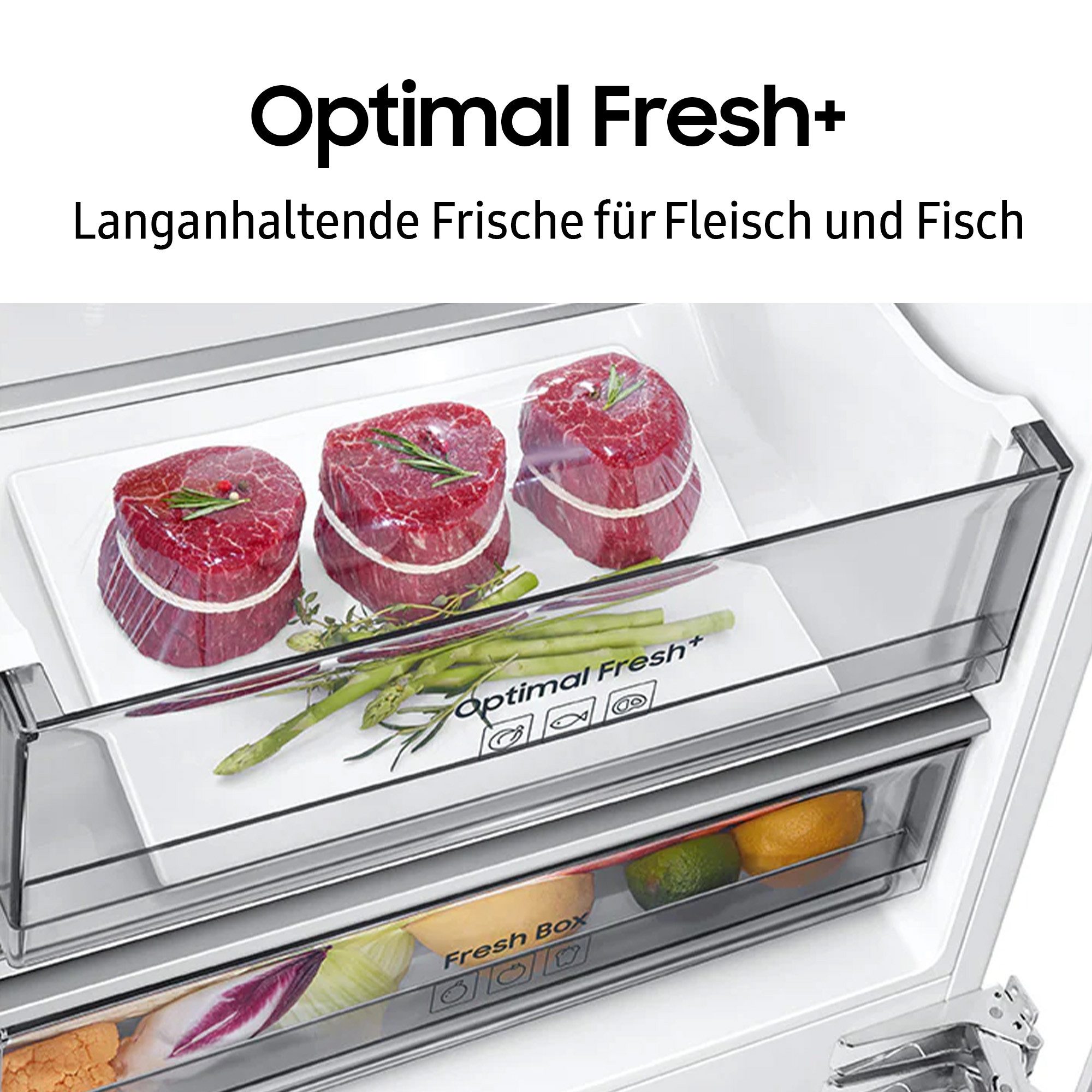 Einbaukühlgefrierkombination BRB8OF BRB80F30ADFO
