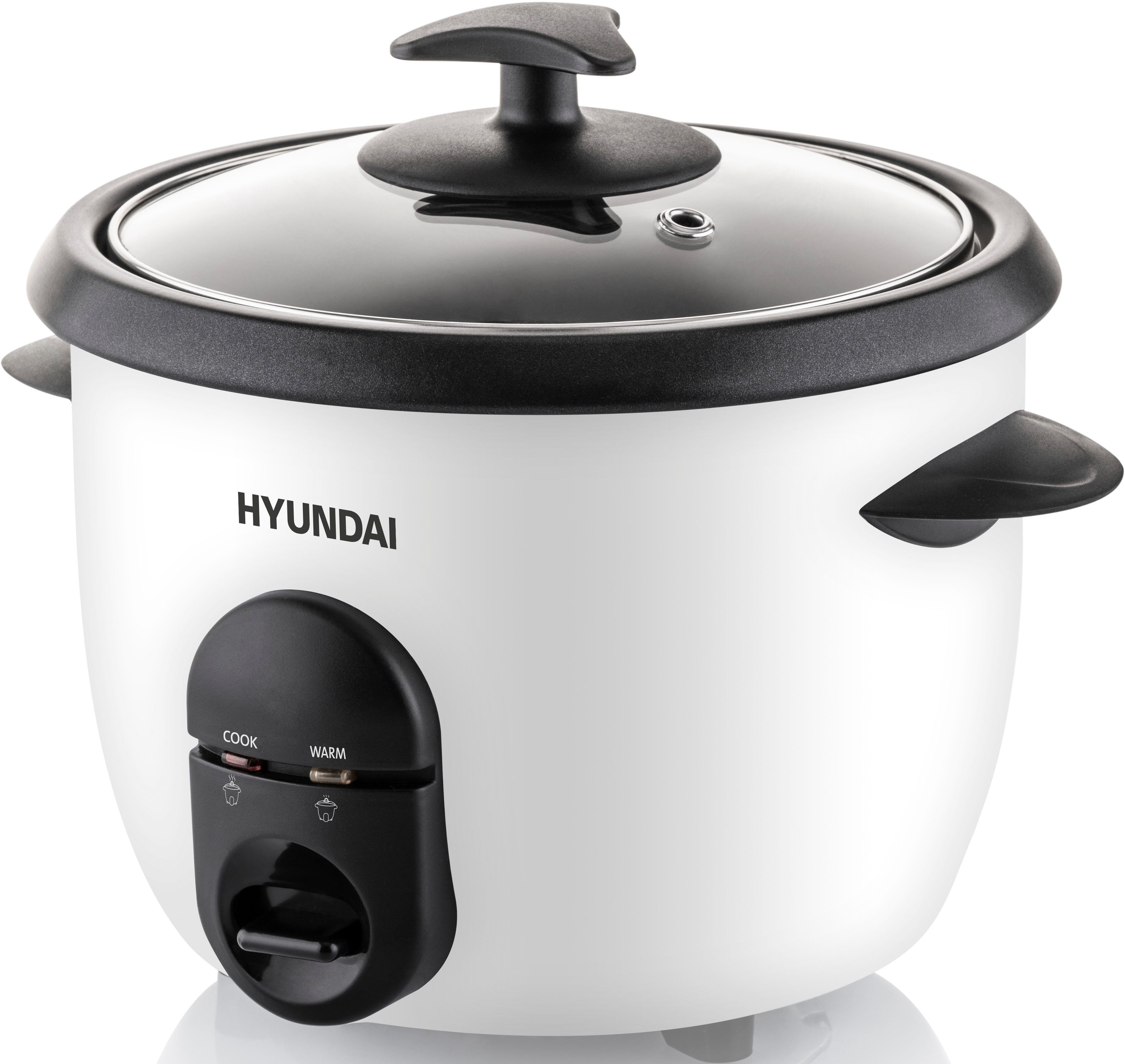 Reiskocher HYURC100