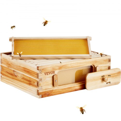 Bienenstock