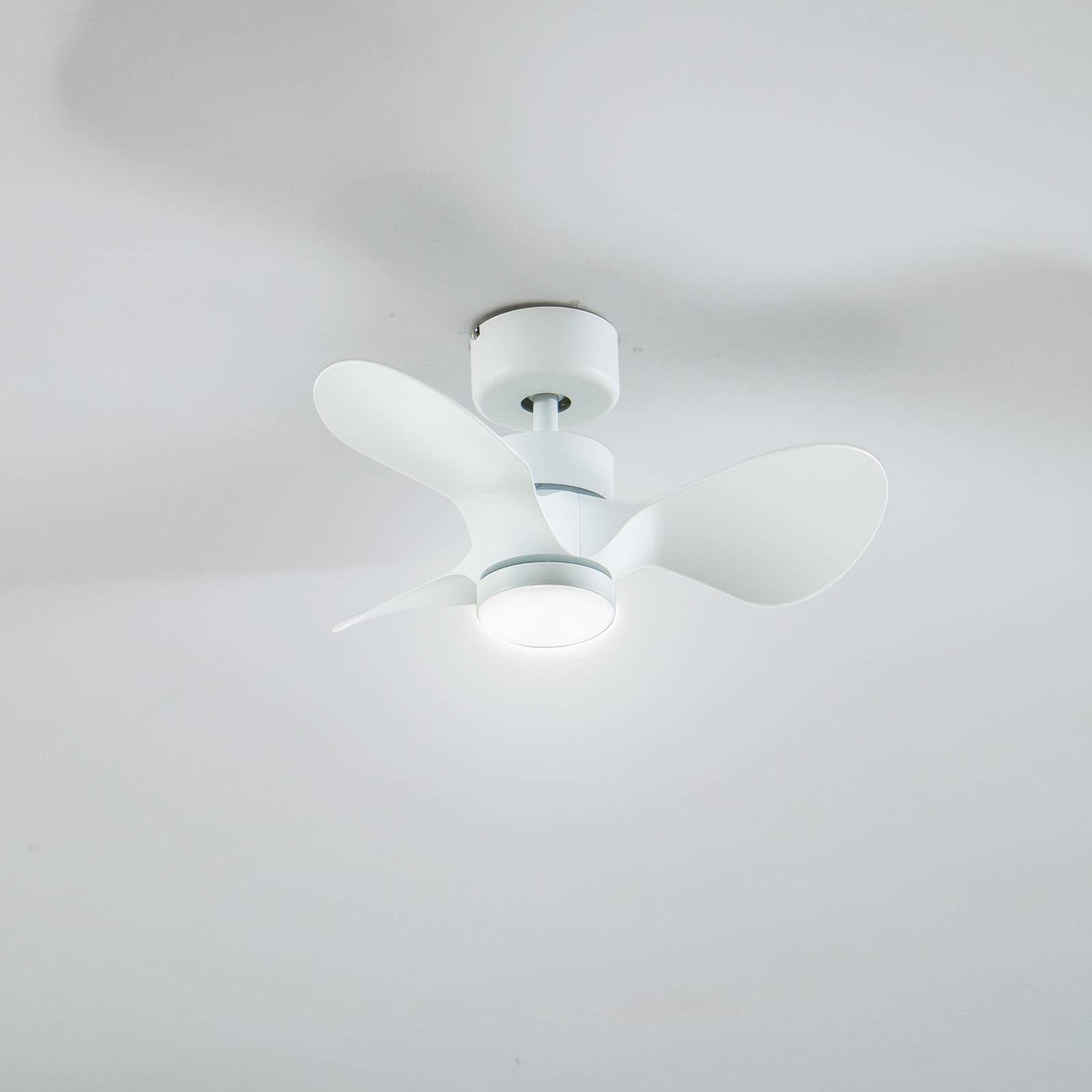 Deckenventilator Enon