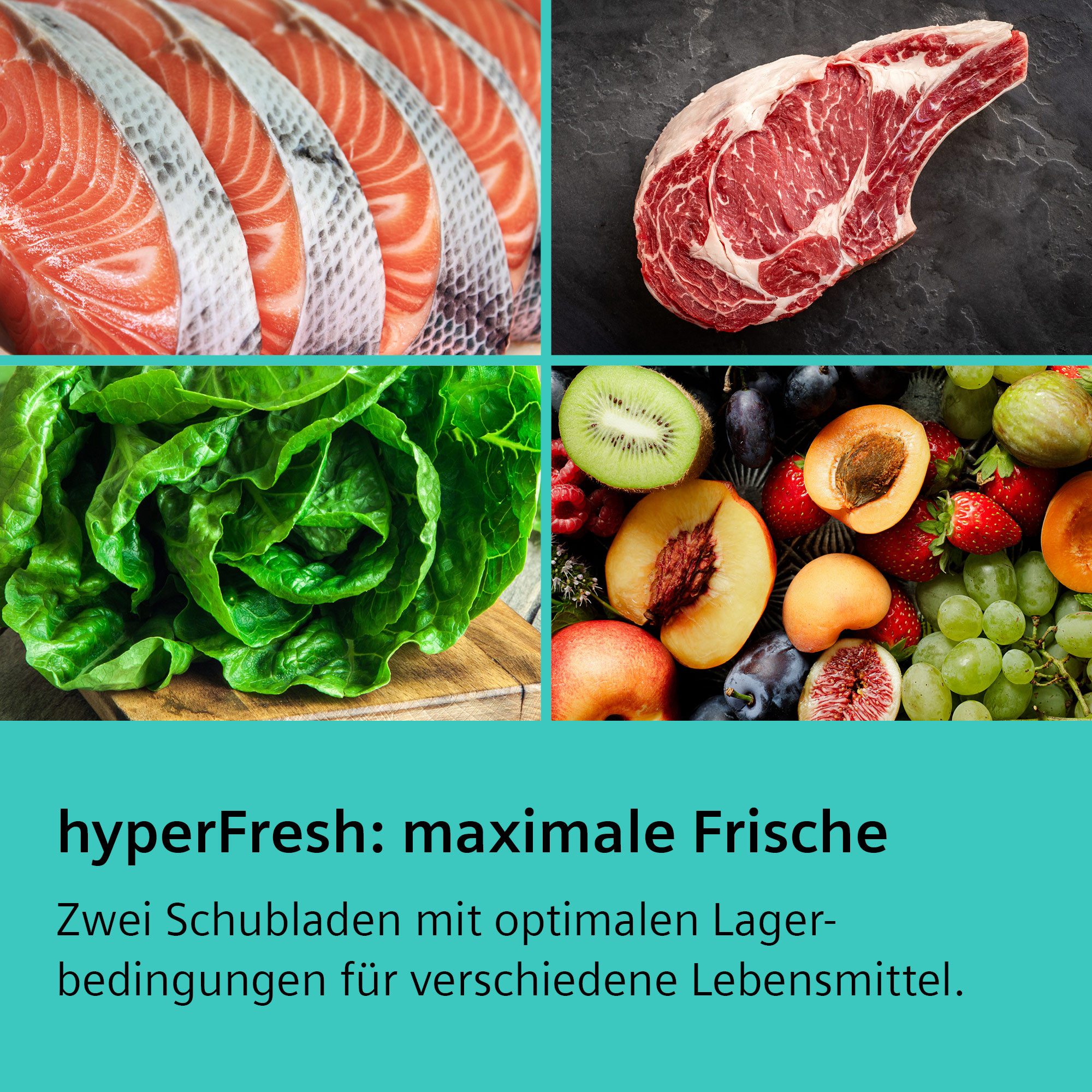 Kühl-/Gefrierkombination iQ500 KG39NAIAU