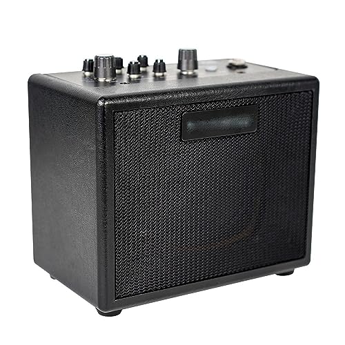 ROUZIHU Amplificatore for Chitarra elettrica Amplificatore Amplificatore Combinato Mini Portatile con Drum Machine : Bellezza