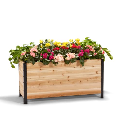 EARTH ELEVATED Letto da giardino rialzato in 100% legno di cedro canadese per giardinaggio, vaso per coltivare erbe, fiori e verdure a casa, per interni ed esterni, patio, balcone, terrazza, 45,7 x : Amazon.it: Giardino e giardinaggio