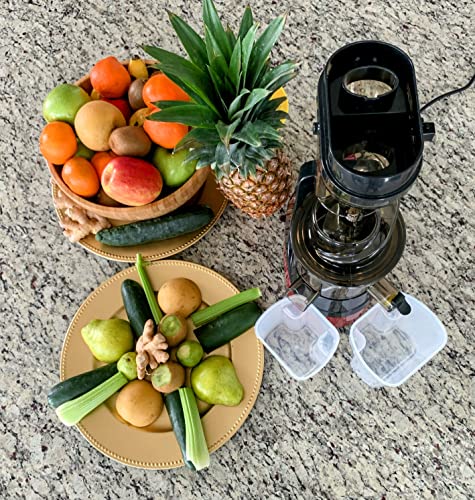 Guirla Premier Cold Press Juicer (Red Wine): Home & Kitchen