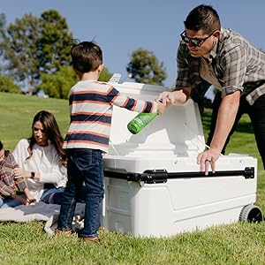 Picnic Cooler Igloo Glide