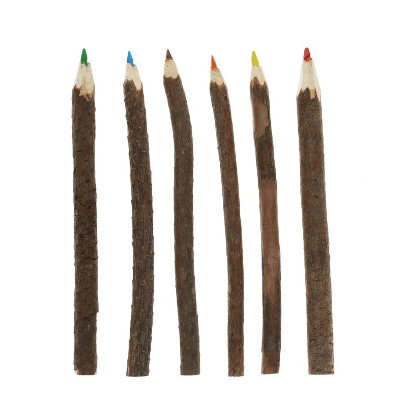 Rex London Twig Colouring Pencils