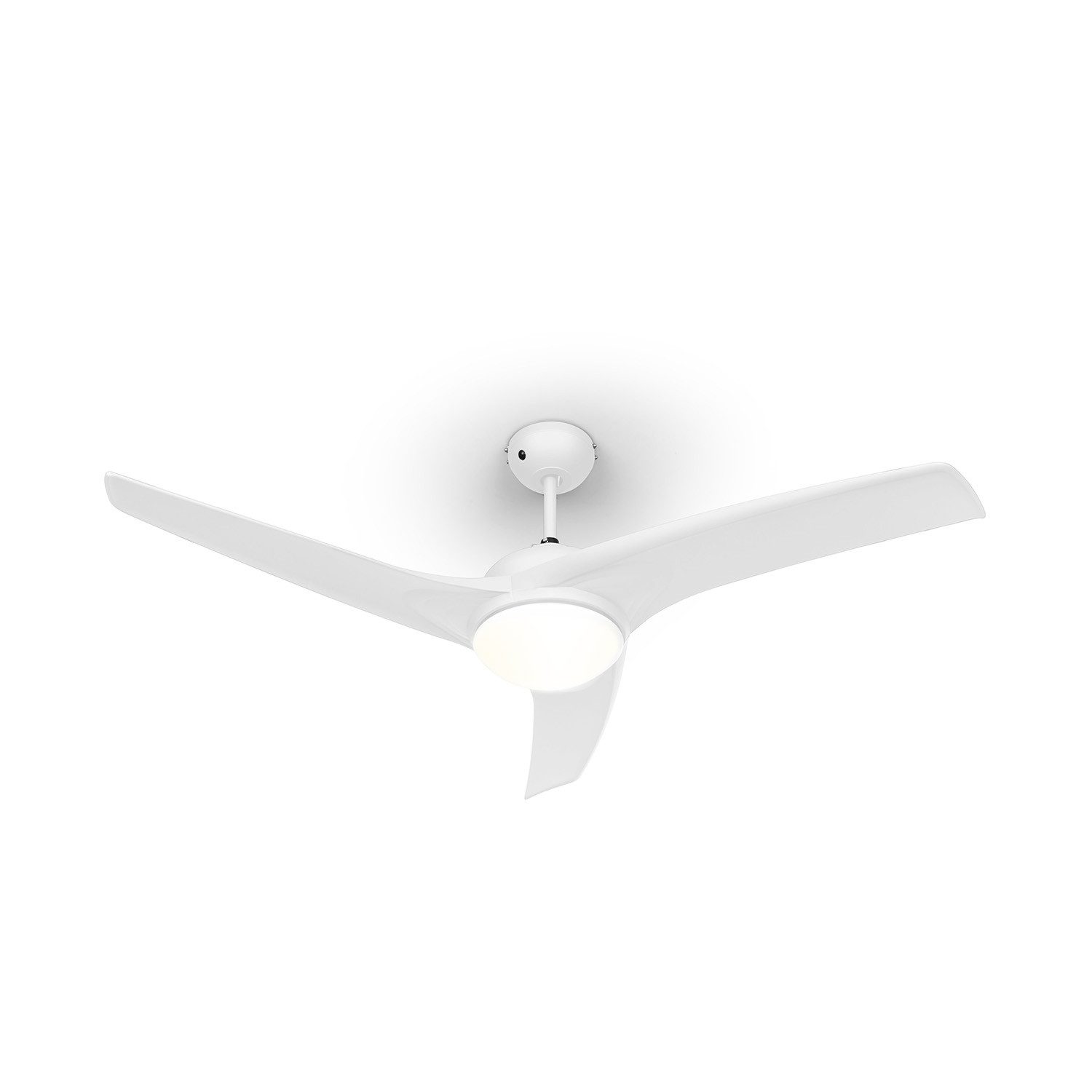 Bodenventilator Figo