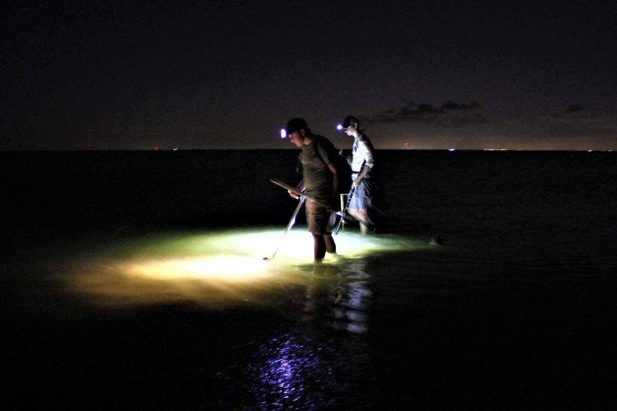 Green Blob Outdoors LED Flounder Gigging Bully Netting Light
