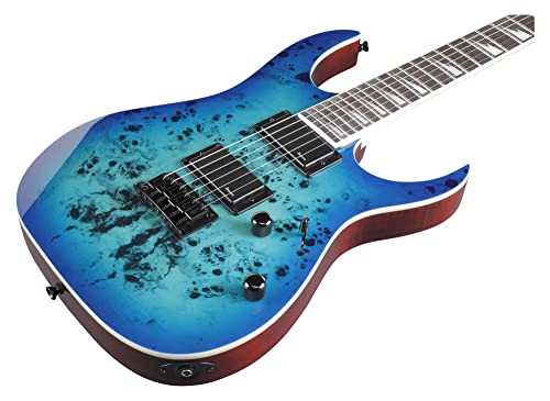 Ibanez GRGR221PA AQB   Chitarra elettrica Aqua Burst : Strumenti Musicali