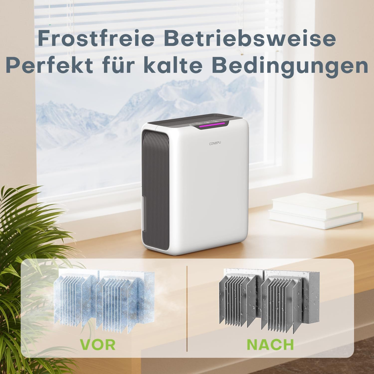 Luftentfeuchter Luftentfeuchter DH‑CS13, 3 L Tank • 60 W • Timer • Auto‑Defrost