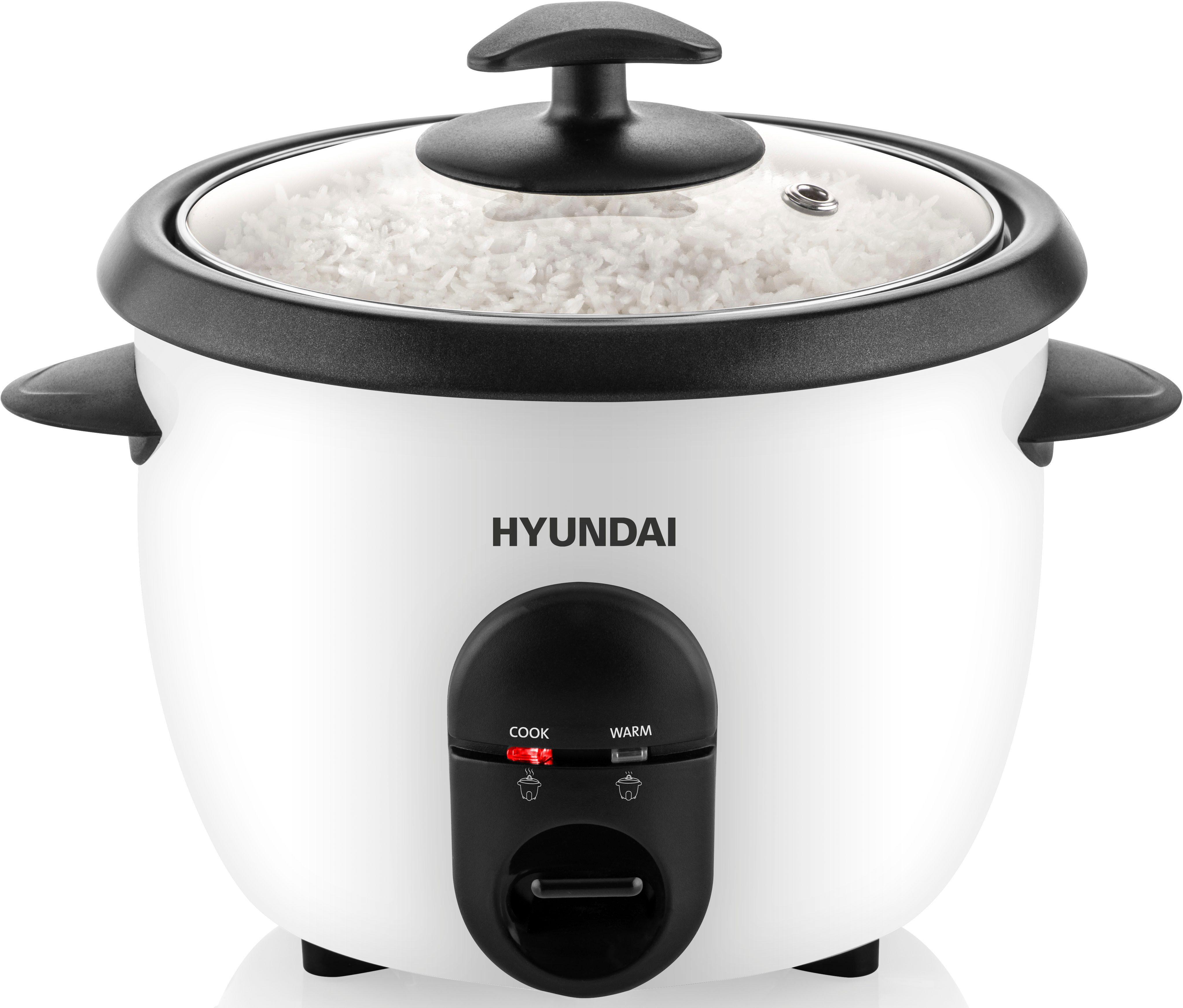 Reiskocher HYURC100