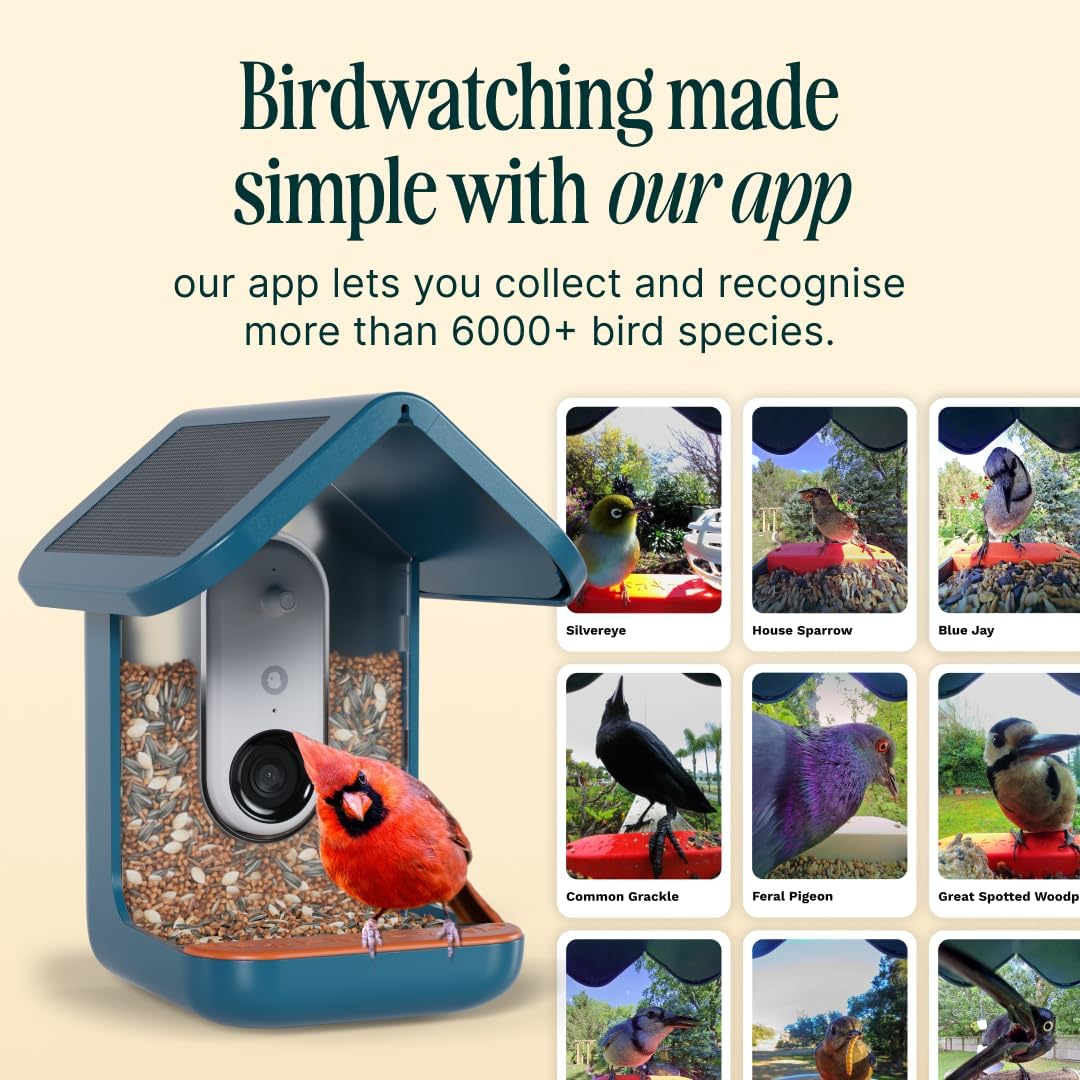 Birdbuddy PRO Solar Smart Bird Feeder with Camera - AI Bird Species Identification  5MP Photos  2K HD Video Live Stream Camera  Slow-Motion Video  2.6in Focus - Blue Solar