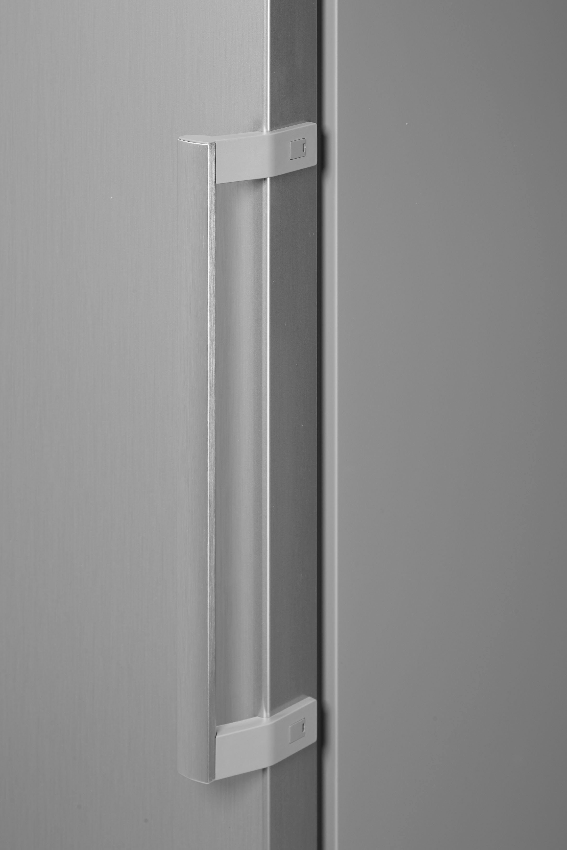 Kühlschrank KSV36VLDP