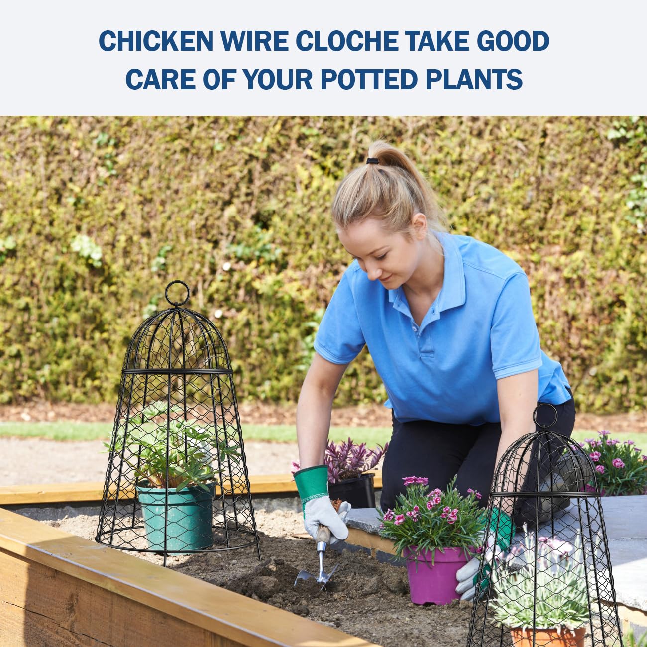 Yolid Garden Cloches for Plants Set of 6, Chicken Wire Cloche Plant