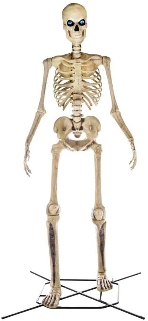 Home Accents 12 ft Giant Skeleton with LifeEyes, 95 lbs &ndash; Halloween Decoration