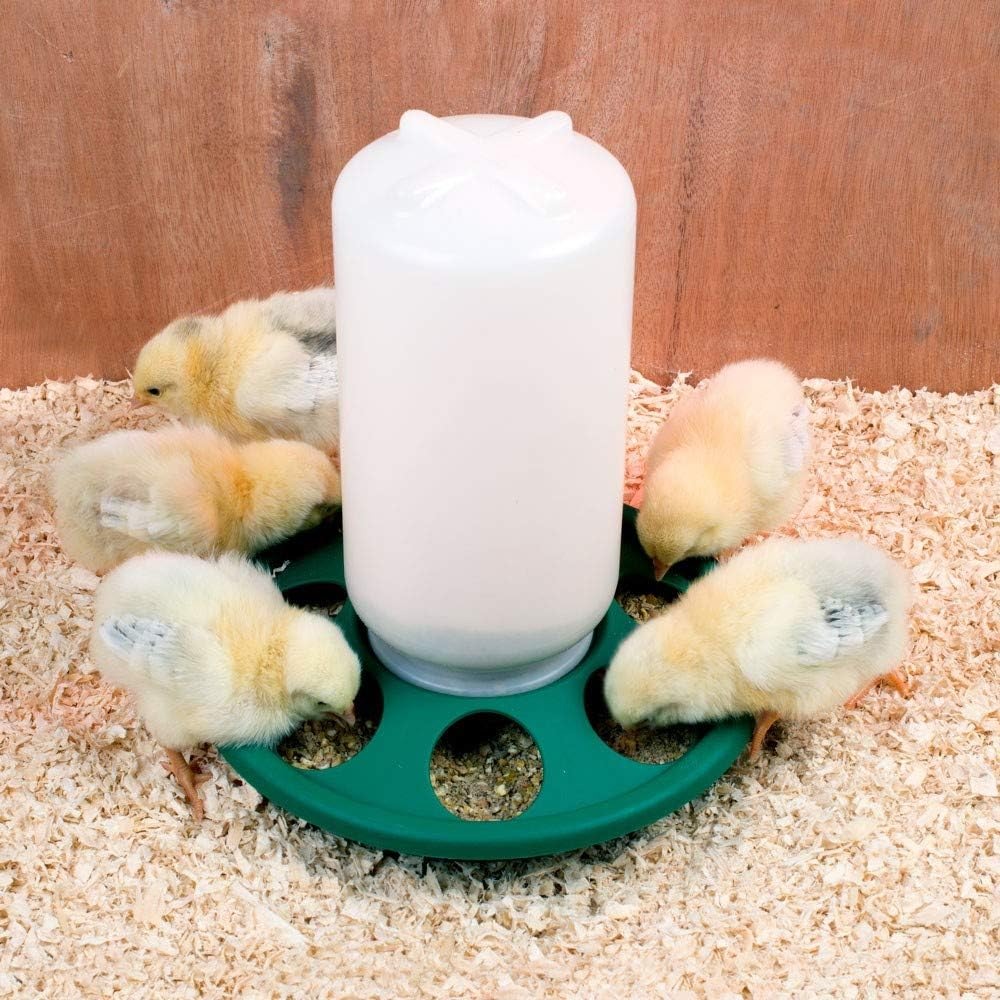 Mangiatoia per pulcini 1 Kg e Abbeveratoio per pulcini 1,5 L - in Plastica Trasparente Resistente – Piedini rimovibili - Mangiatoia per galline e Abbeveratoio per galline chiocce e quaglie