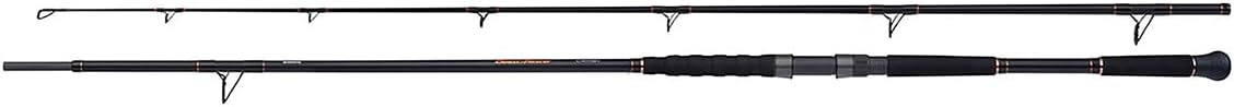 SHIMANO Beastmaster AX Catfish, 2,7m, 8,86ft, 0-200g, 2 Teile, Wels Angelrute, Fast, SBMCAXL270