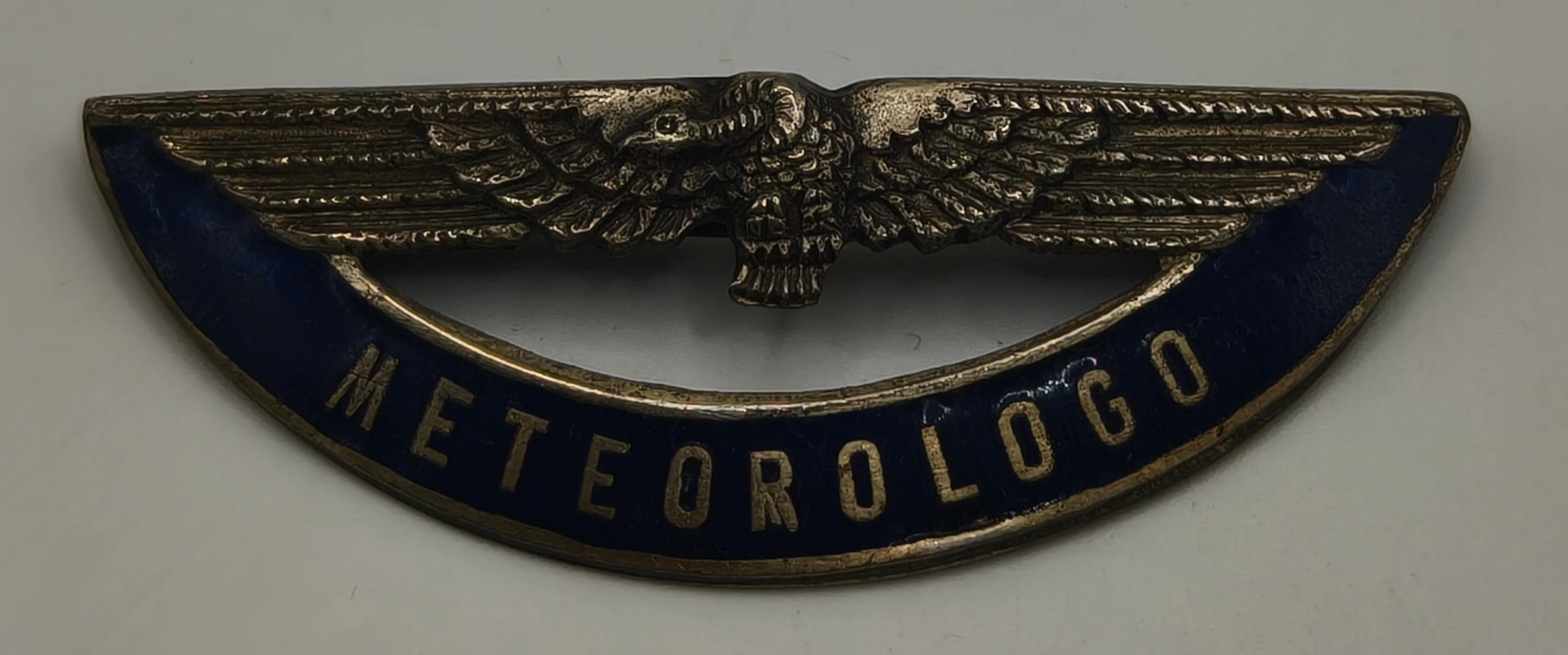 Insignia alas aviaci��n meteorolog��a. Argentina