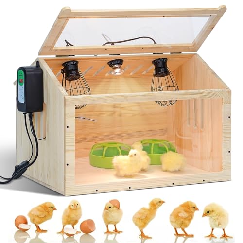 MOGOULUA Scatola per allevare polli, grande, in legno, con termostato intelligente, 2 controllo della temperatura e 3 lampade di calore, per pulcini, anatre, criceti, 58 x 40 x 40 cm : Amazon.it: Commercio, Industria e Scienza