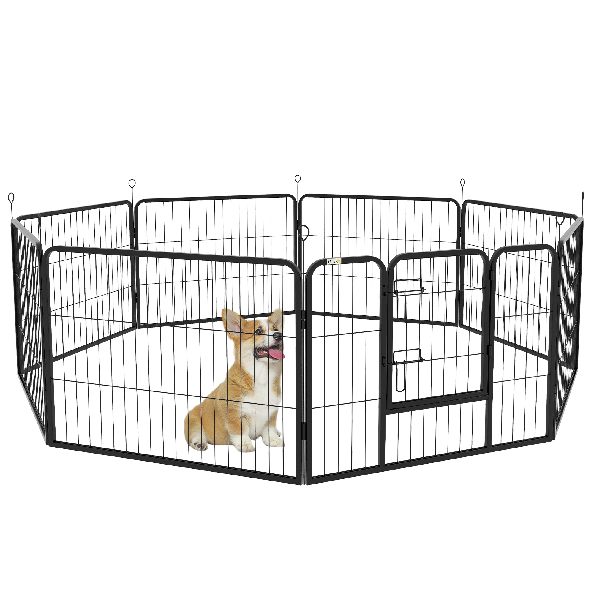 Hundekäfige