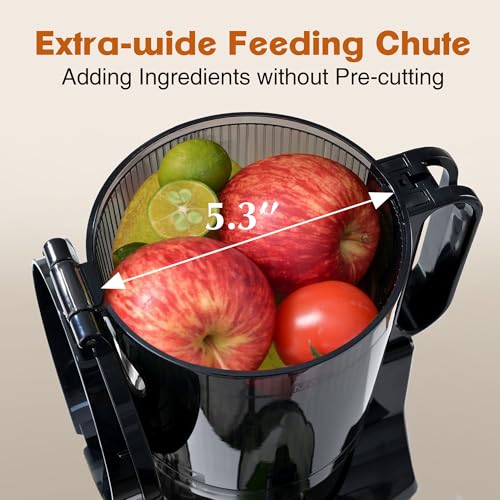 Cold Press Juicer Machines,Fretta Slow Masticating Juicers with 5.3