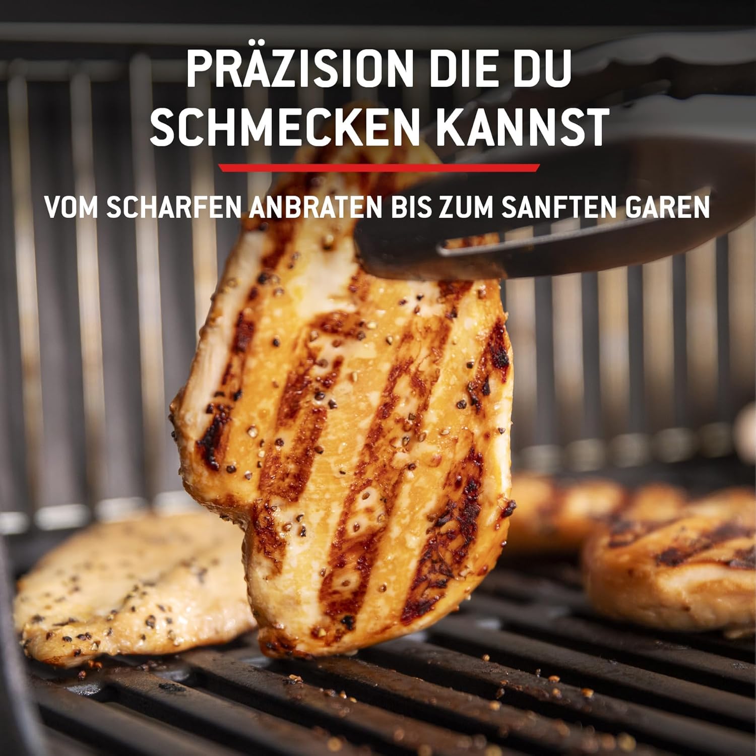 Weber Spirit E-210 Gasgrill, 2 Brenner, 51 x 46 cm Grillfläche, Warmhalterost, Deckelthermometer, 2 Räder - Schwarz/Silber (1500833)
