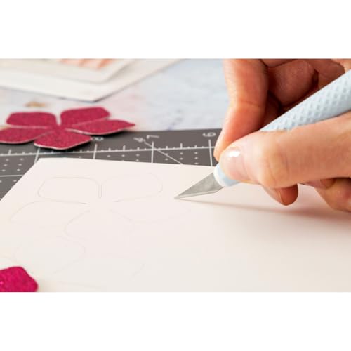 Cricut Pacchetto di Materiali Essenziali, Vinile, varietà : Amazon.it: Casa e cucina