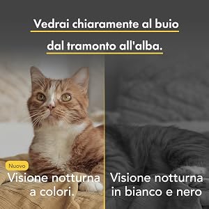 Confronto delle funzionalità di visione notturna: immagine a colori del gatto arancione a sinistra, immagine in scala di grigi a destra. Il testo italiano descrive una visione nitida dal tramonto all'alba.