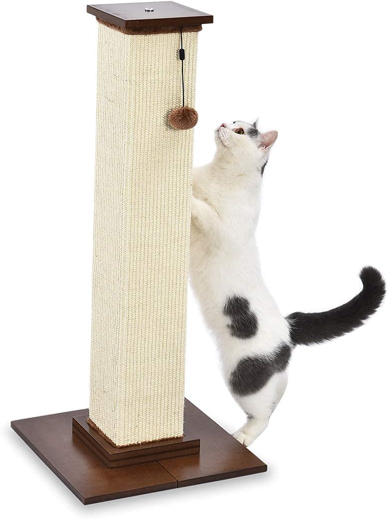 Tiragraffi per gatti da interno, standard, con giocattolo pendente, 80 cm, grigio