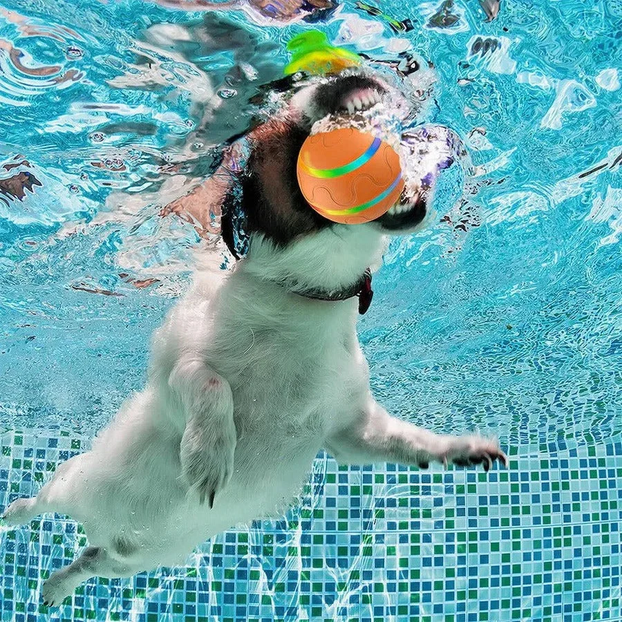 Interactive Motion-Activated Pet Ball �C Remote Control, LED Lights & 5�C6 Hour Battery