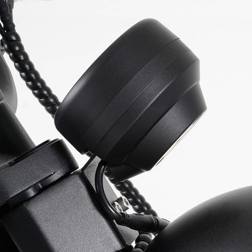 LCD-display voor Citycoco MangoSteen M1P elektrische chopper scooter
