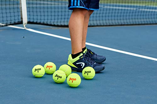 Penn Championship Tennis Feltro pressurizzato