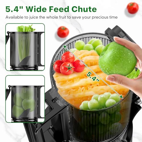 Cold Press Juicer, Masticating Juicer with 5.4