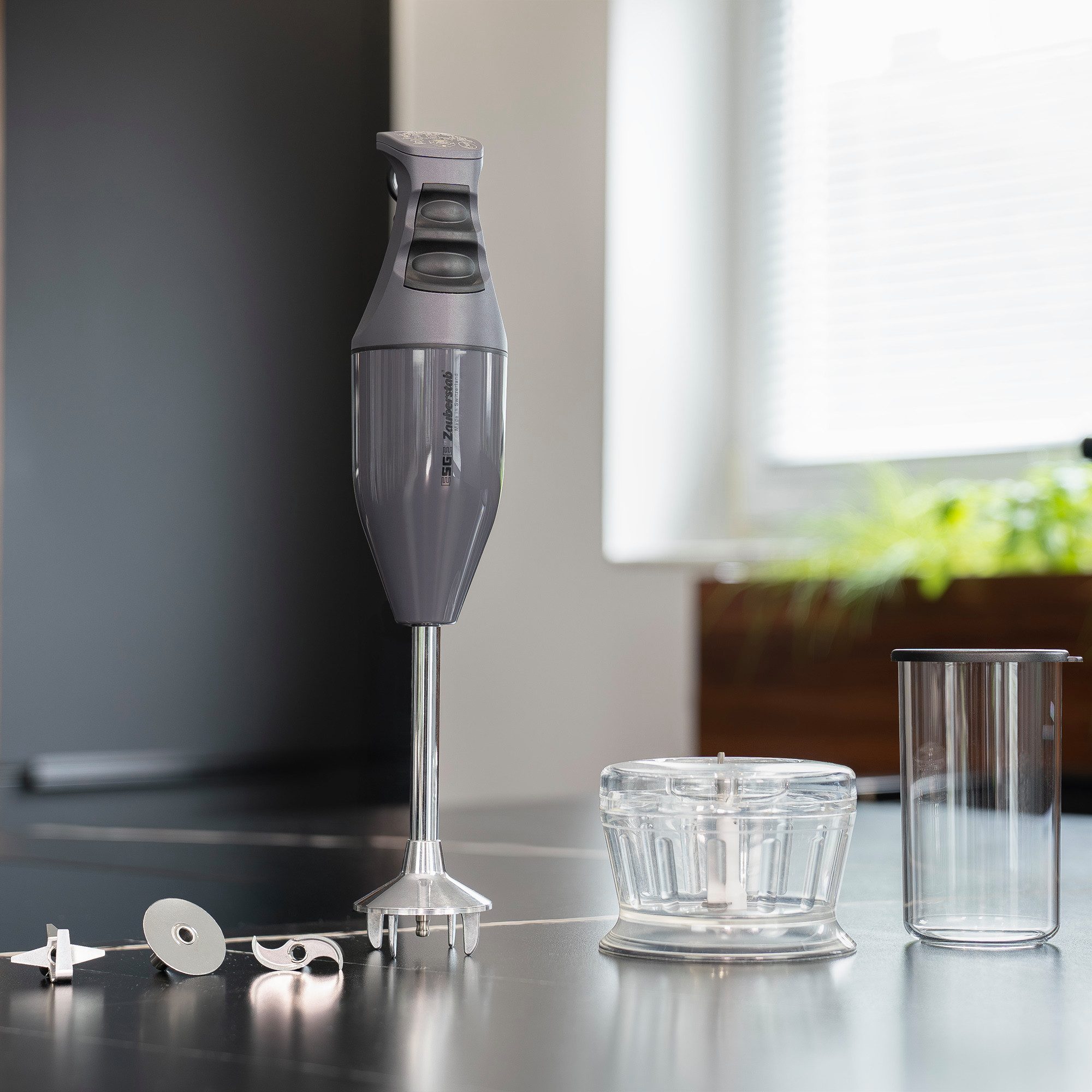 Stabmixer ESGE-Zauberstab Set