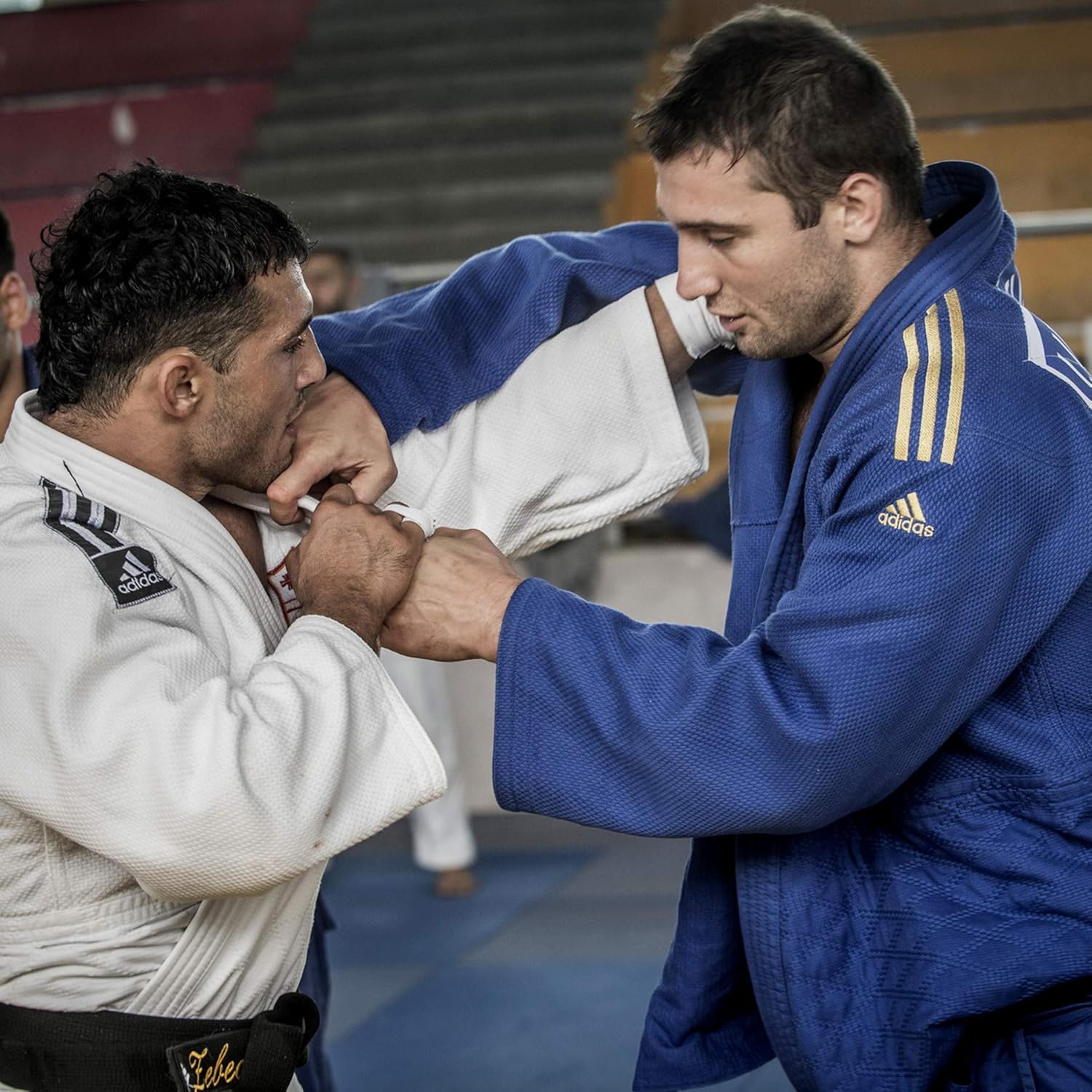 adidas Champion II-IJF Judo Kimono, Blau
