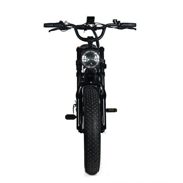 Electric Mountain Bike for Adults | 20 x 4.0 Fat Tires, 1000W Motor, 48V 20Ah Removable Battery, Max Speed 45MPH, Shi Mano 7-Speed for Off-Road Adventures