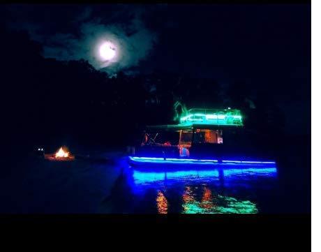 LEDeXTREME LED Neon Rope Light LED Flexible Tube Light 12VDC LED Neon Strip Light IP68 Waterproof, Submersible, Decoration Light