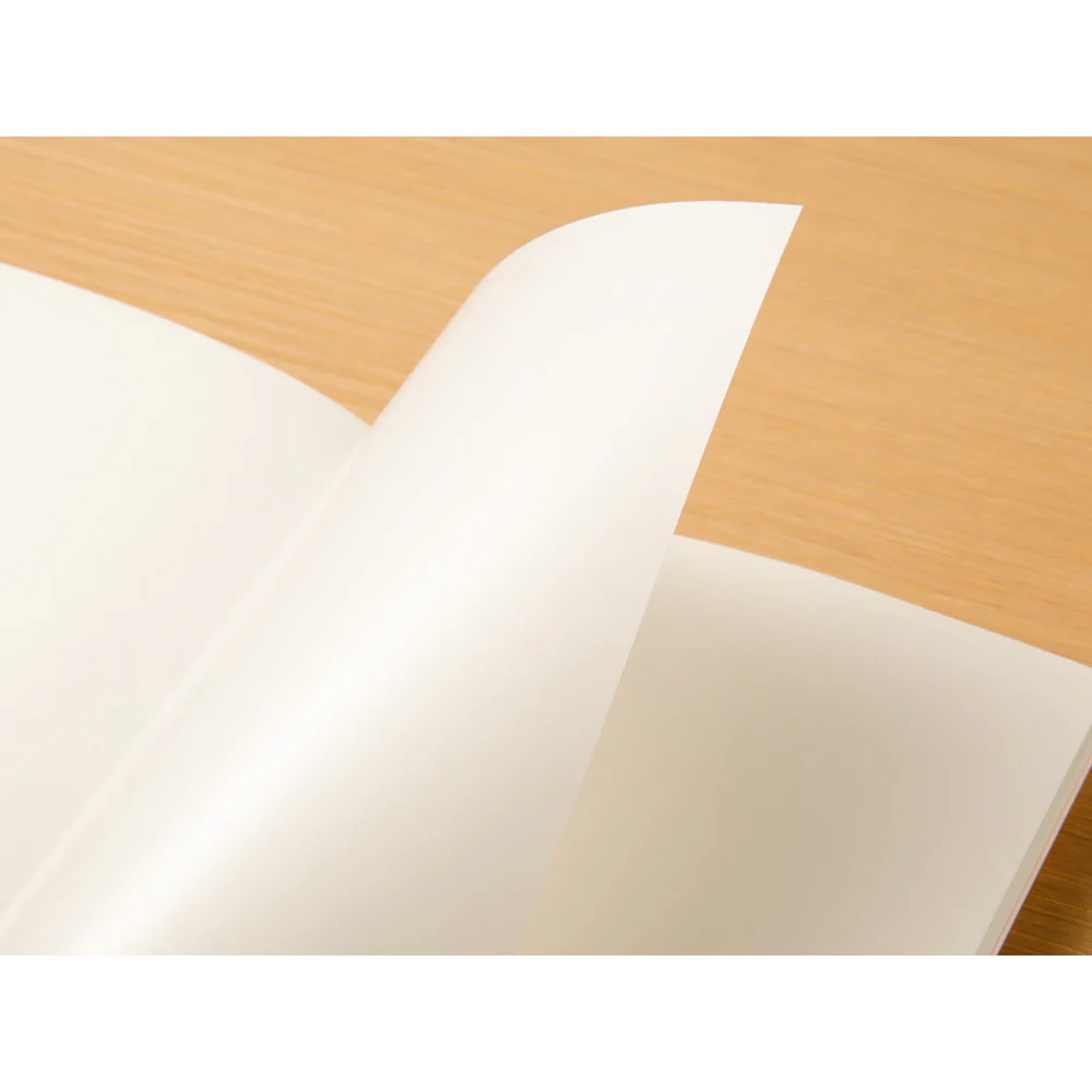 Traveler's Company - Traveler's Notebook Refill - Regular Size - Sticker Release Paper 031