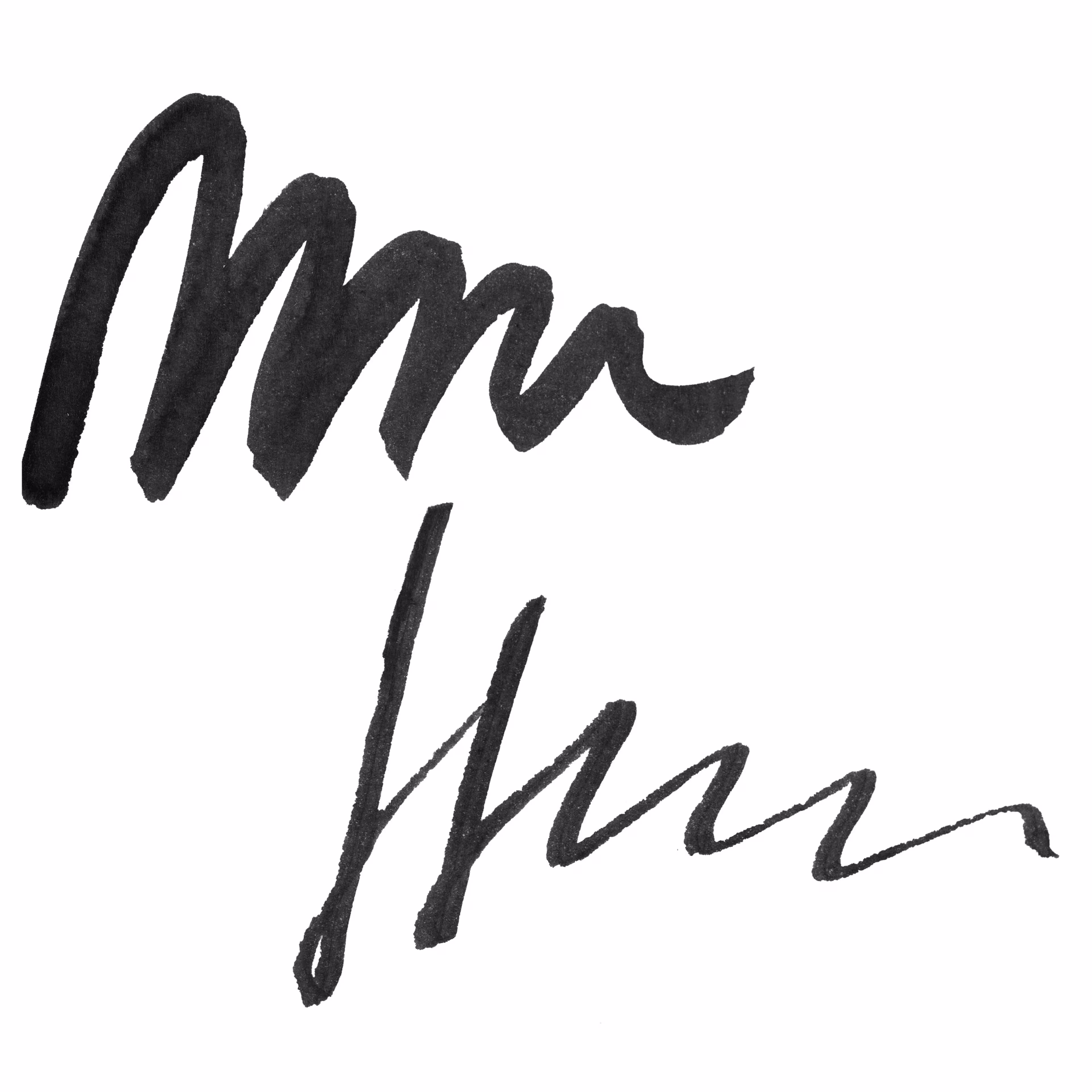 Platinum Carbon Ink - Fountain Pen Ink