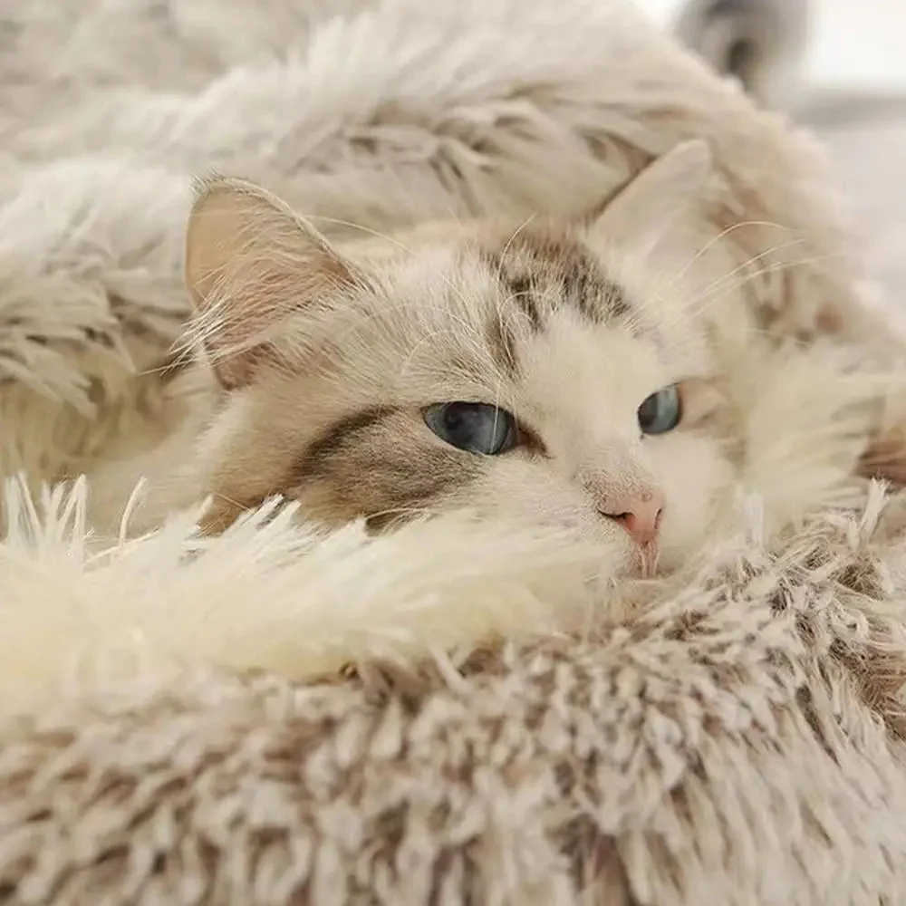 Plush Cat Cave Bed �C Semi-Enclosed, Machine Washable & Anti-Slip Base
