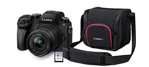 Panasonic SISTEMA MACCHINA FOTOGRAFICA pollici