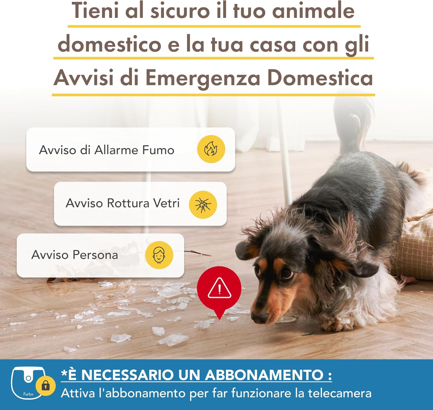 Furbo Videocamera 360° per Cani con Pacchetto Sicurezza Casa