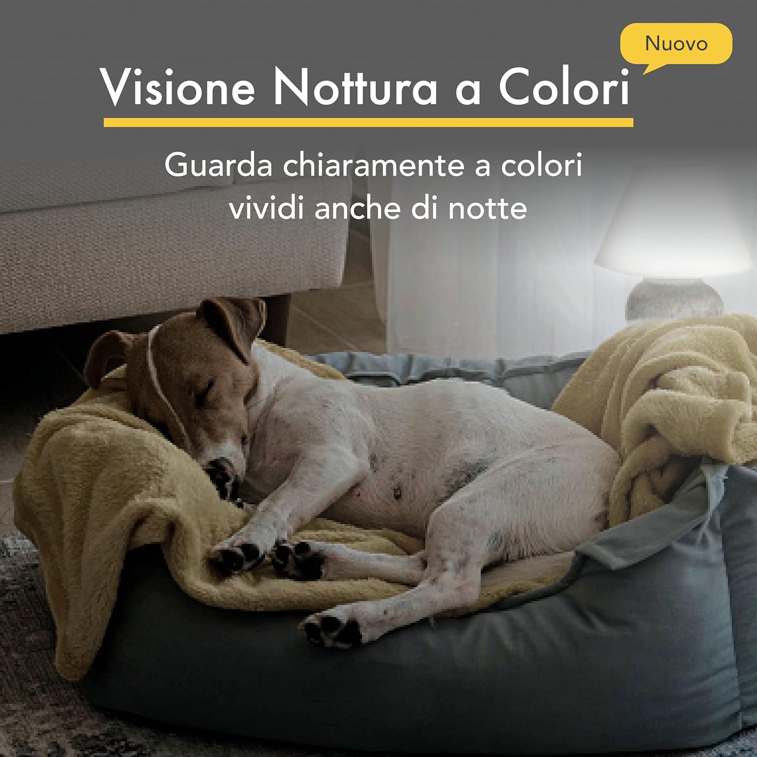 Furbo Videocamera 360° per Cani con Pacchetto Sicurezza Casa