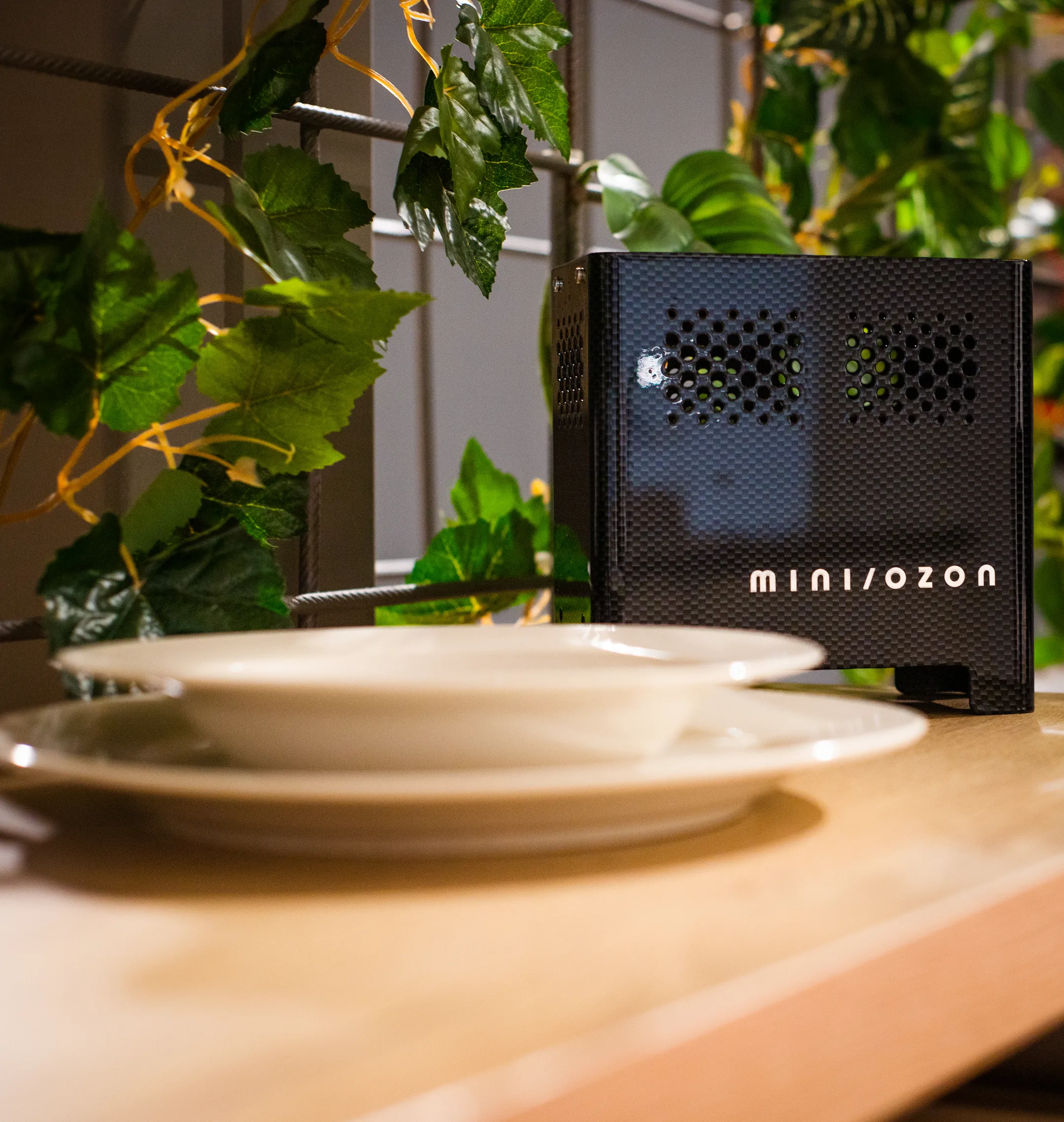 Mini Ozon Luchtreiniger - Carbon