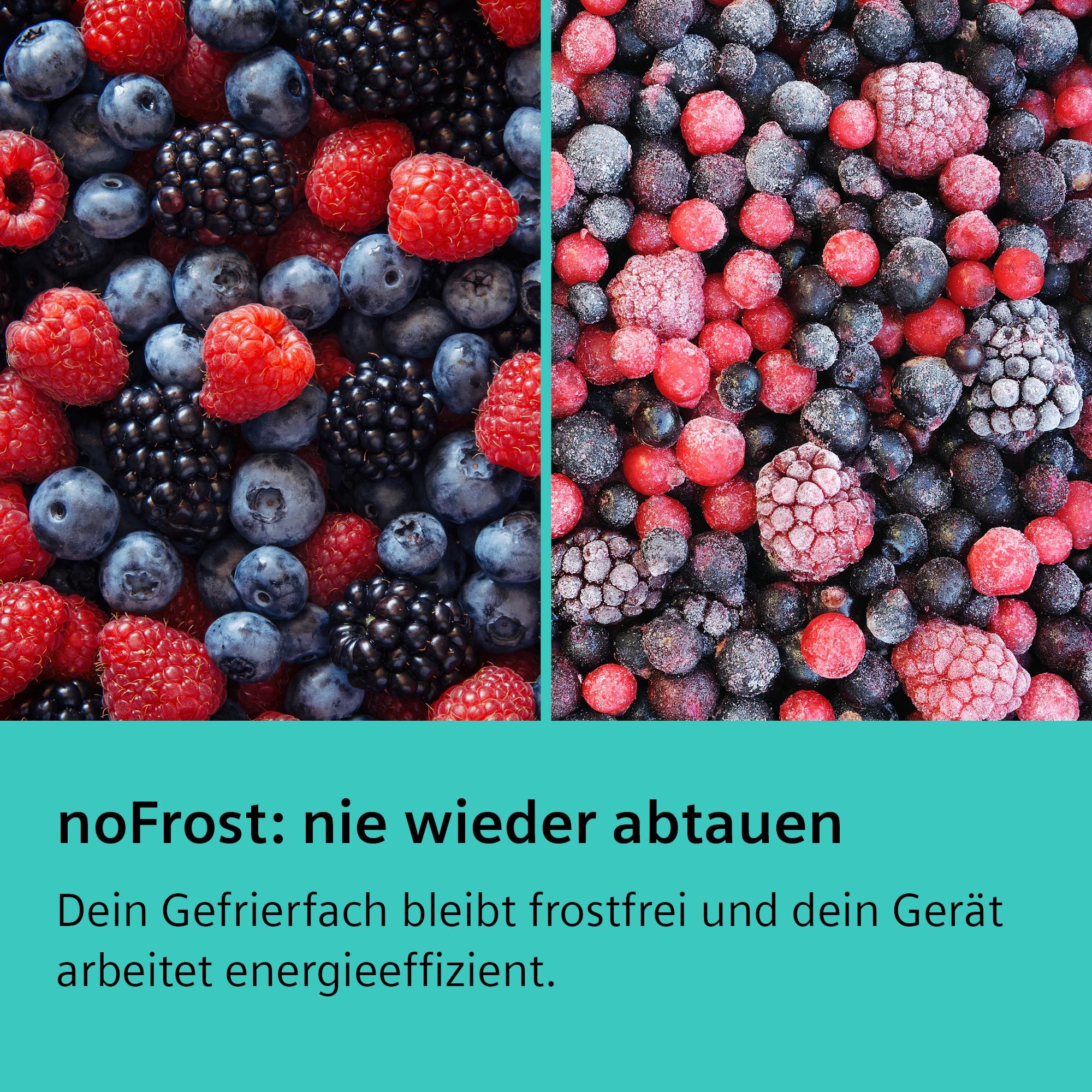 Kühl-/Gefrierkombination KG49NXIBF