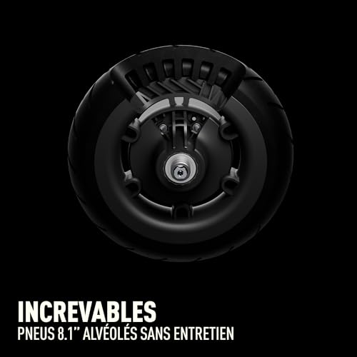 Segway Ninebot Monopattino Elettrico Velocità Autonomia