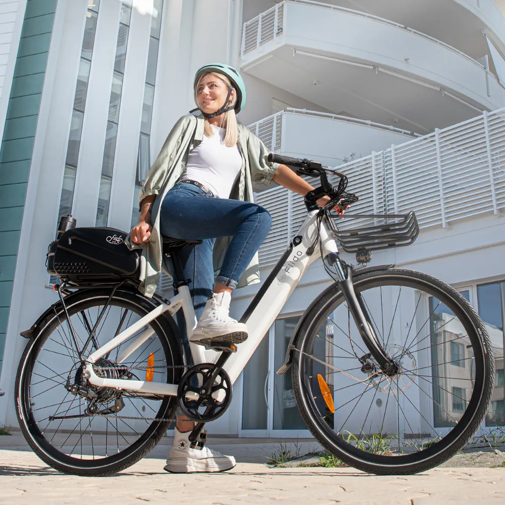2025 Fiido C11 Lichtgewicht Urban E-Bike