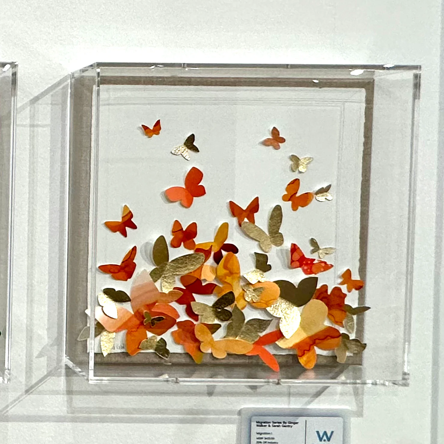 Migration Series by Ginger Walker & Sarah Gentry